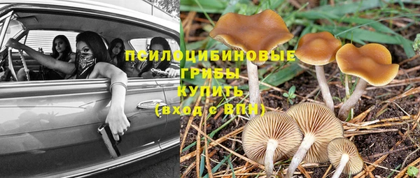 индика Кущёвская
