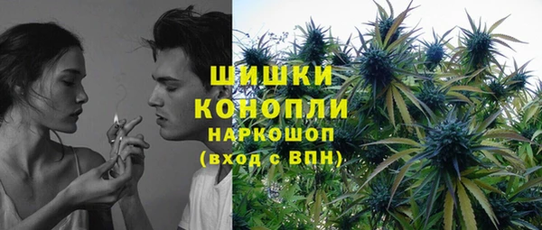 PSILOCYBIN Алексин