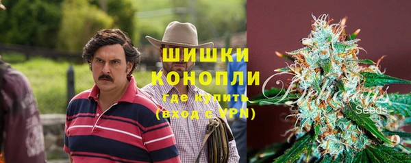 PSILOCYBIN Алексин