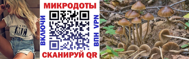 Галлюциногенные грибы Cubensis закладка Аргун