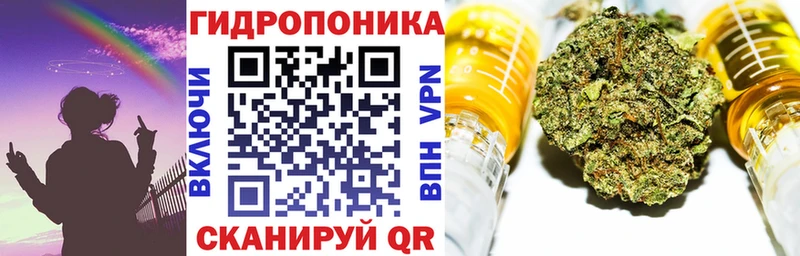 сайты даркнета клад  Аргун  Шишки марихуана SATIVA & INDICA 